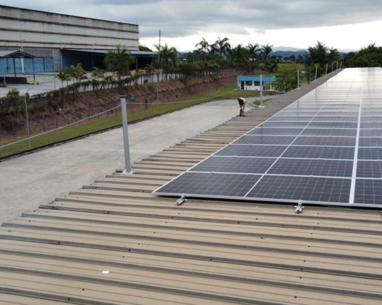 PROJETO DE LINHA DE VIDA - DELTA SP - SÃO PAULO